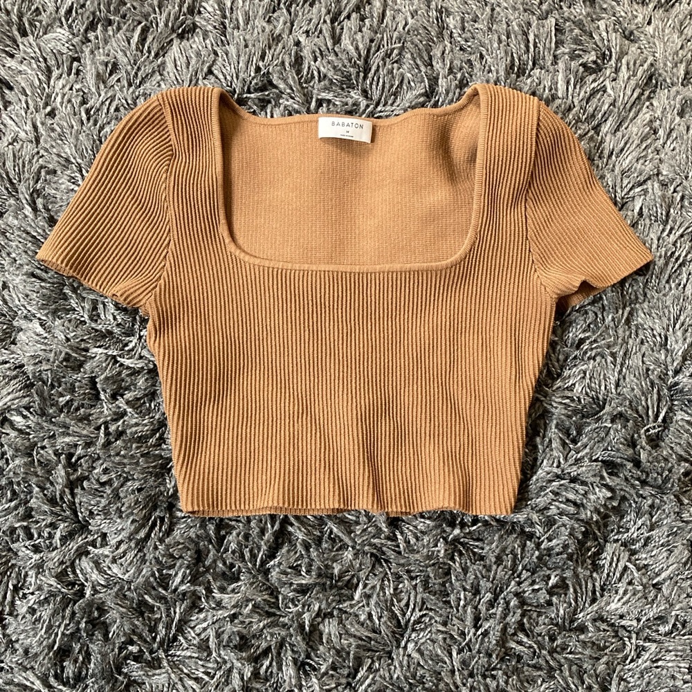 Aritzia Babaton Sculptknit crop top